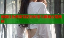 暗网红色刑房背后的秘密与黑暗交易揭秘