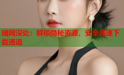 暗网深处：解锁隐秘资源，安全高速下载通道
