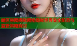 暗区禁网揭秘网络隐秘世界安全防范与监管策略探讨
