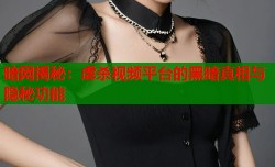 暗网揭秘：虐杀视频平台的黑暗真相与隐秘功能