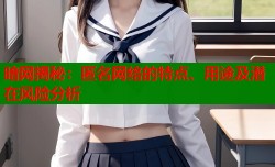 暗网揭秘：匿名网络的特点、用途及潜在风险分析