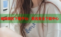 暗网禁区下载平台：匿名安全下载中心