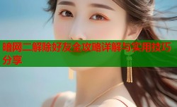 暗网二解除好友全攻略详解与实用技巧分享