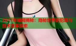 2017年暗网揭秘：隐秘世界的犯罪与技术变革探索