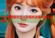 进入暗网是否合法及相关法律风险全面解析