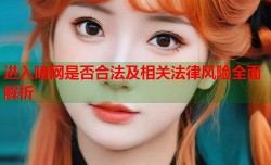 进入暗网是否合法及相关法律风险全面解析