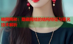 暗网揭秘：隐藏网络的结构特征与匿名技术解析