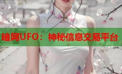 暗网UFO：神秘信息交易平台