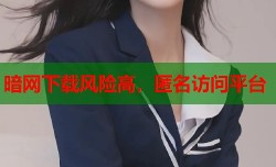 暗网下载风险高，匿名访问平台