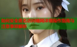 如何安全匿名访问暗网详细操作指南与注意事项解析