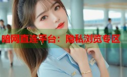 暗网直连平台：隐私浏览专区