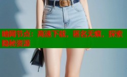 暗网节点：高速下载，匿名无痕，探索隐秘资源