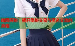 暗网探秘：揭开隐秘交易与匿名交流的真相