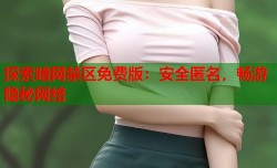 探索暗网禁区免费版：安全匿名，畅游隐秘网络