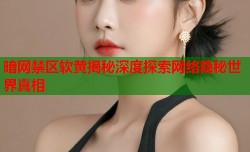 暗网禁区软黄揭秘深度探索网络隐秘世界真相