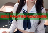 暗网世界中的李探秘与隐秘交易揭秘