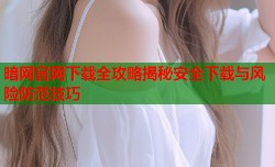 暗网官网下载全攻略揭秘安全下载与风险防范技巧