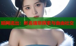 暗网流出：匿名信息探索与自由社交