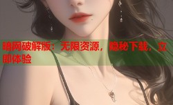 暗网破解版：无限资源，隐秘下载，立即体验
