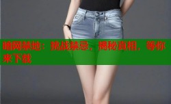 暗网禁地：挑战禁忌，揭秘真相，等你来下载