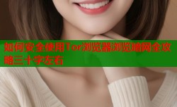 如何安全使用Tor浏览器浏览暗网全攻略三十字左右