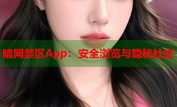 暗网禁区App：安全浏览与隐秘社交