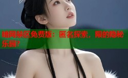 暗网禁区免费版：匿名探索，限的隐秘乐园？