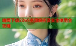 暗网下载2265资源解析及安全使用全攻略