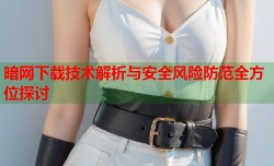 暗网下载技术解析与安全风险防范全方位探讨