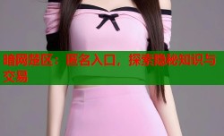 暗网楚区：匿名入口，探索隐秘知识与交易