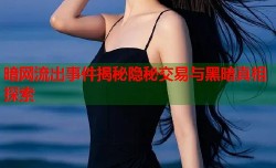 暗网流出事件揭秘隐秘交易与黑暗真相探索