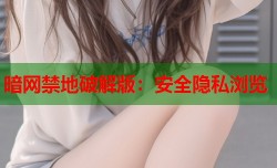 暗网禁地破解版：安全隐私浏览