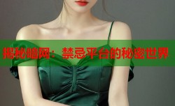 揭秘暗网：禁忌平台的秘密世界
