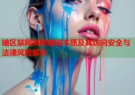 暗区禁网揭秘暗网本质及其访问安全与法律风险解析