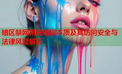 暗区禁网揭秘暗网本质及其访问安全与法律风险解析