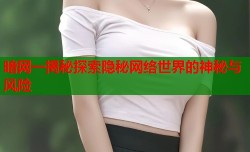 暗网一揭秘探索隐秘网络世界的神秘与风险