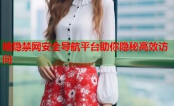 暗隐禁网安全导航平台助你隐秘高效访问