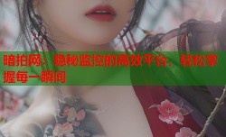 暗拍网：隐秘监控的高效平台，轻松掌握每一瞬间