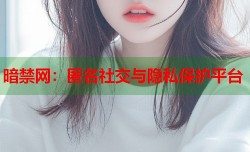 暗禁网：匿名社交与隐私保护平台