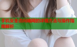 手机安全访问暗网的详细方法与操作指南解析