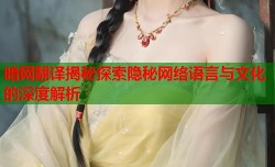 暗网翻译揭秘探索隐秘网络语言与文化的深度解析