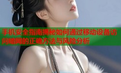 手机安全指南揭秘如何通过移动设备访问暗网的正确方法与风险分析