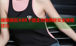 暗网禁区ABB下载全攻略揭秘安全使用技巧