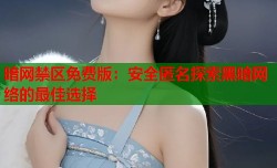 暗网禁区免费版：安全匿名探索黑暗网络的最佳选择