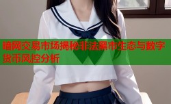 暗网交易市场揭秘非法黑市生态与数字货币风控分析