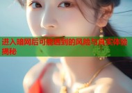 进入暗网后可能遇到的风险与真实体验揭秘