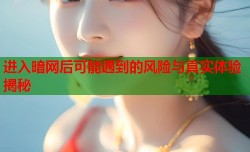 进入暗网后可能遇到的风险与真实体验揭秘