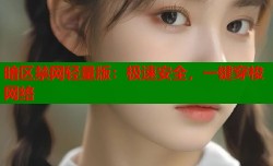 暗区禁网轻量版：极速安全，一键穿梭网络