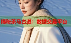 揭秘茶马古道：数据交易平台