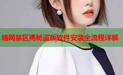 暗网禁区揭秘盗版软件安装全流程详解